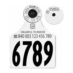 840 USDA All-in-One HDX EID Numbered Ear Tags Allflex